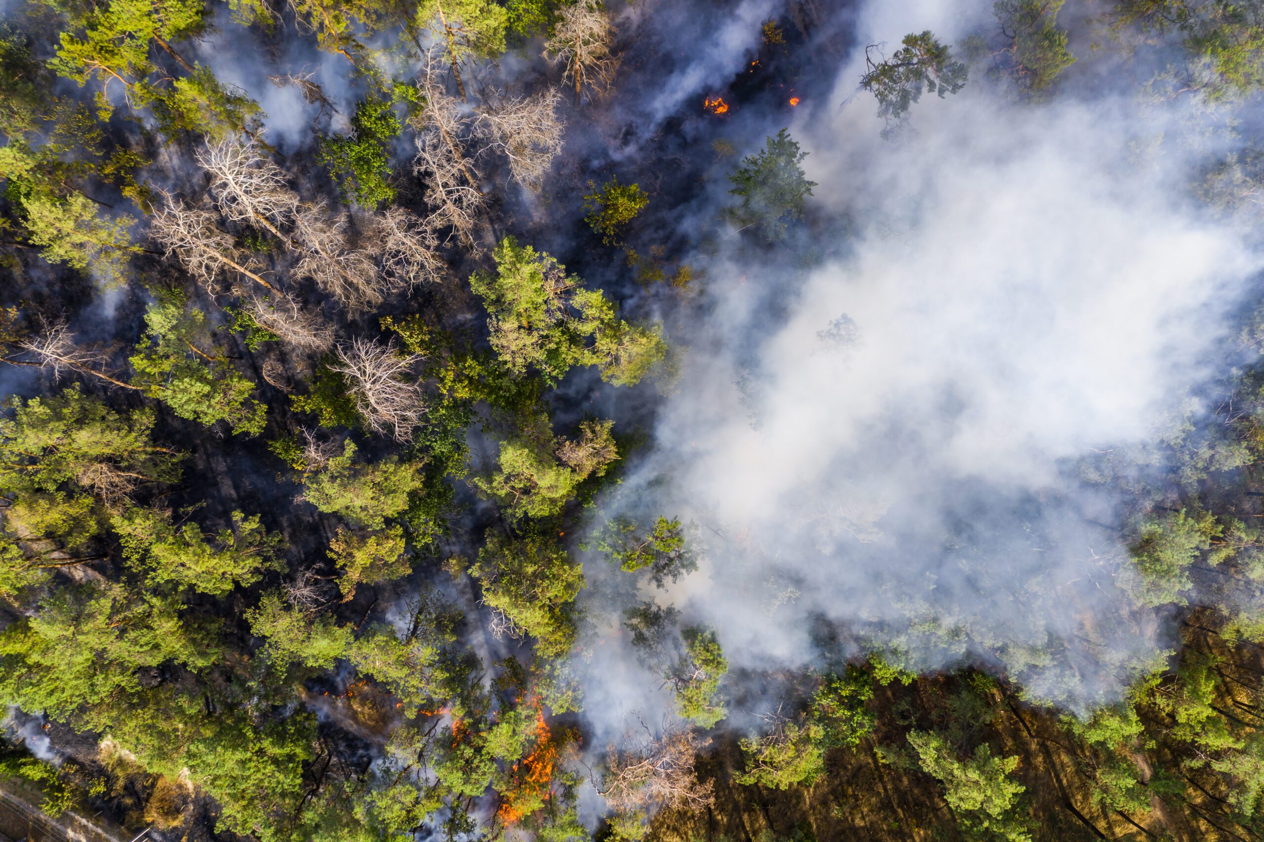 Australia bushfire