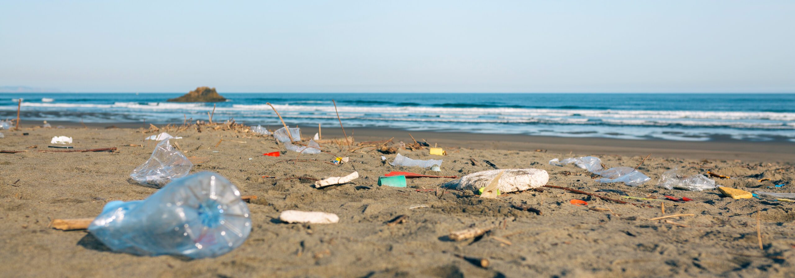 Dirty beach landscape