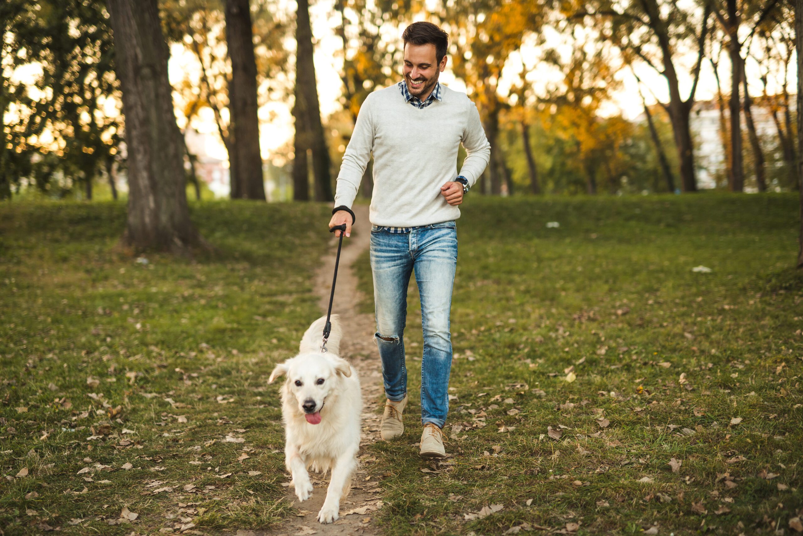walk