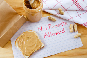 no peanuts allowed Med Alert Bracelets